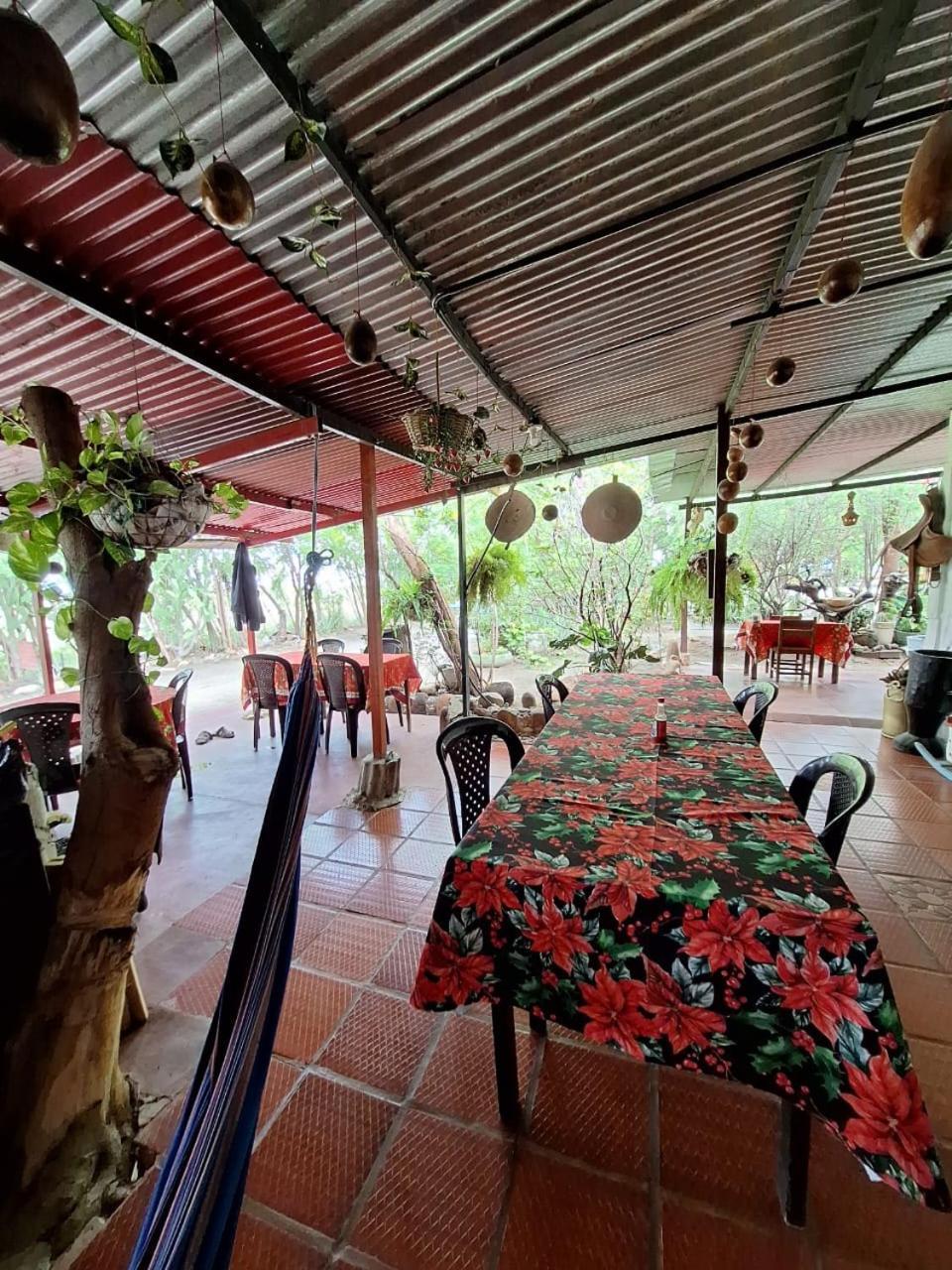 Alojamiento Casa De Campo Los Cactus Villavieja Exterior foto