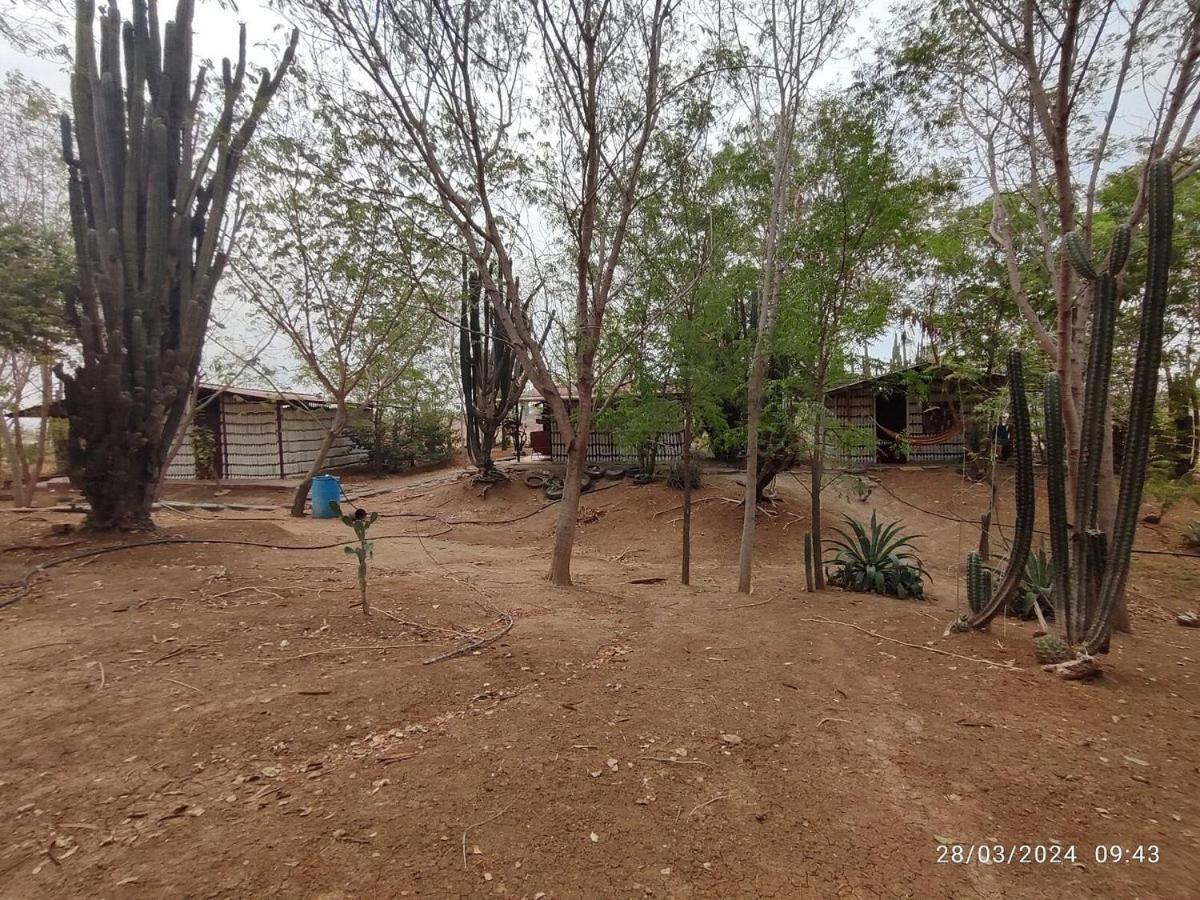 Alojamiento Casa De Campo Los Cactus Villavieja Exterior foto