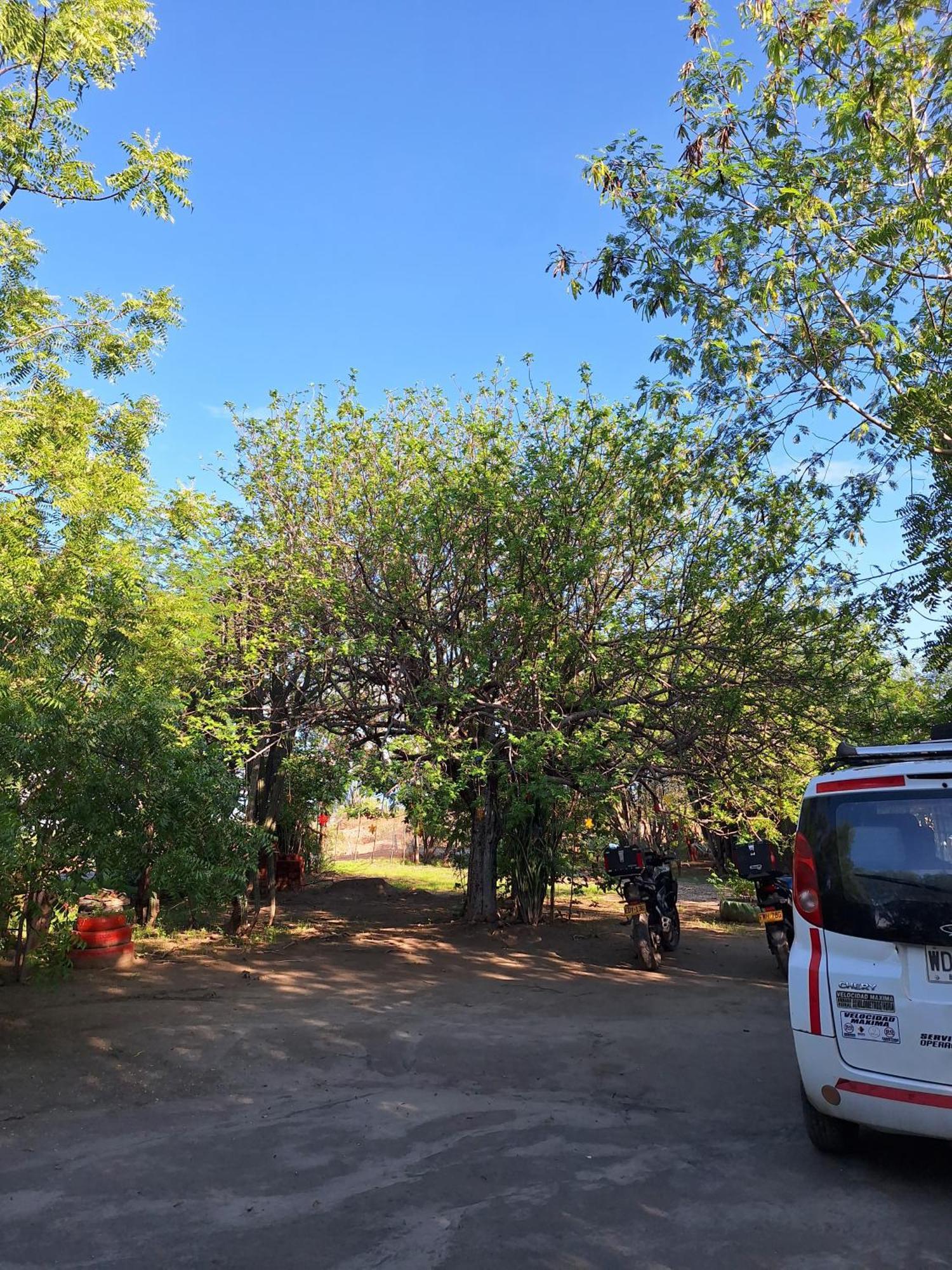 Alojamiento Casa De Campo Los Cactus Villavieja Exterior foto
