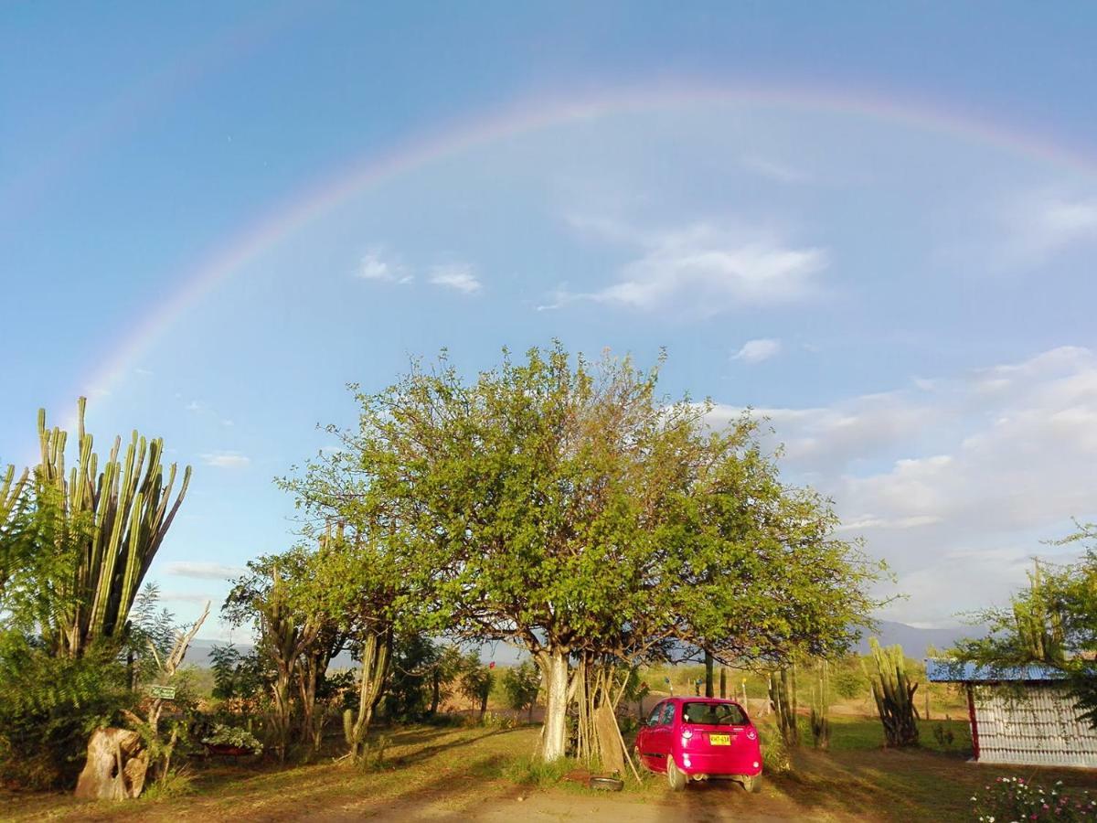 Alojamiento Casa De Campo Los Cactus Villavieja Exterior foto